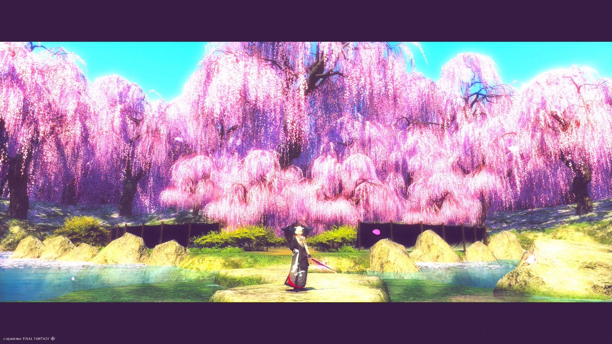 MillaN_FF14's tweet photo. 久し振りに六根隠し🌸
ミハシラの武士ドレスコードのために作ったミラプリが気に入ってて、ここしかないなと思ったから来てみた。

相変わらず綺麗なとこよなぁ...☺️ https://t.co/aomlinoMHV
