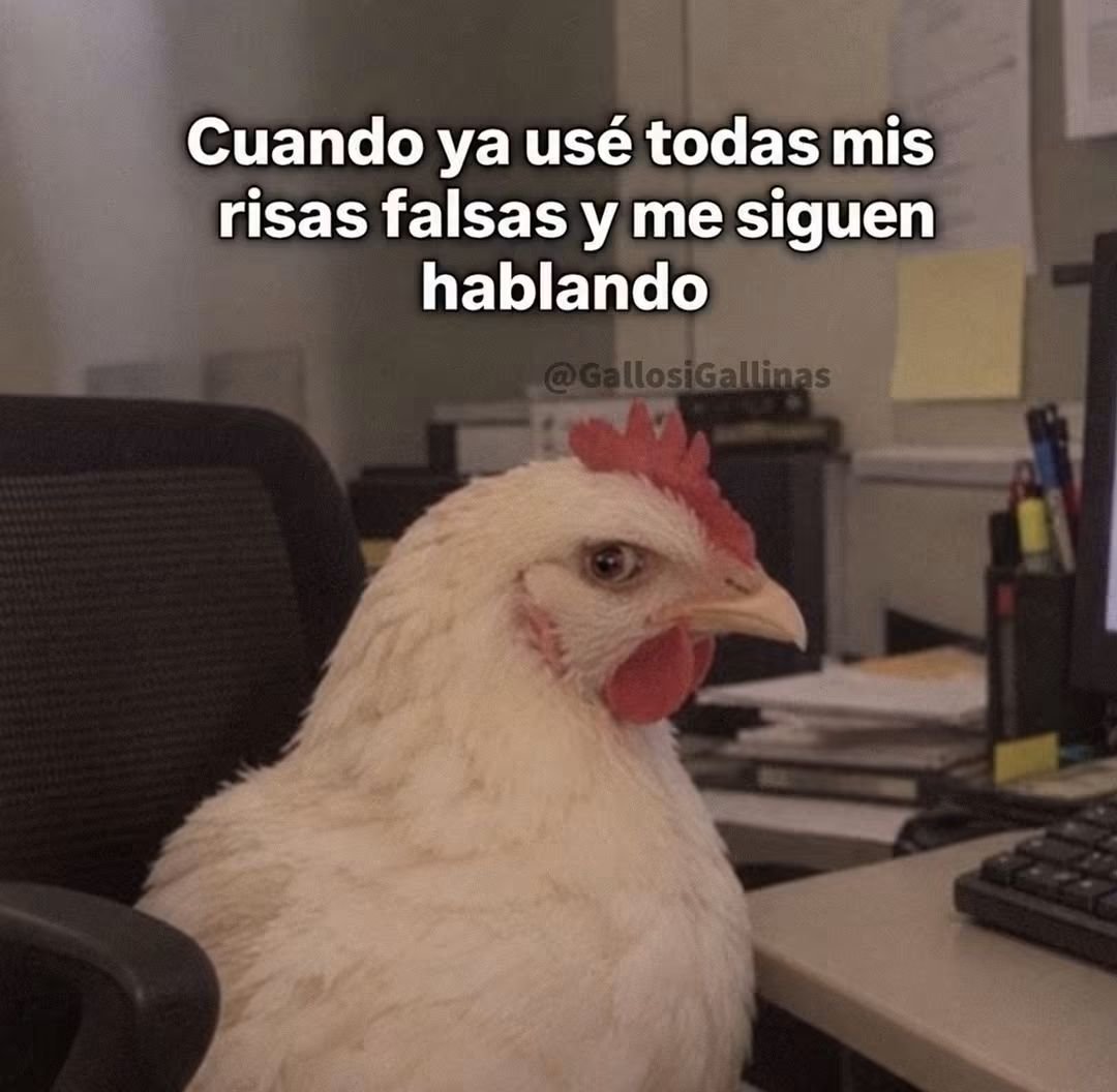 JonathanStark27's tweet photo. Ya no sé qué más fingir https://t.co/EQWxsS7yL9