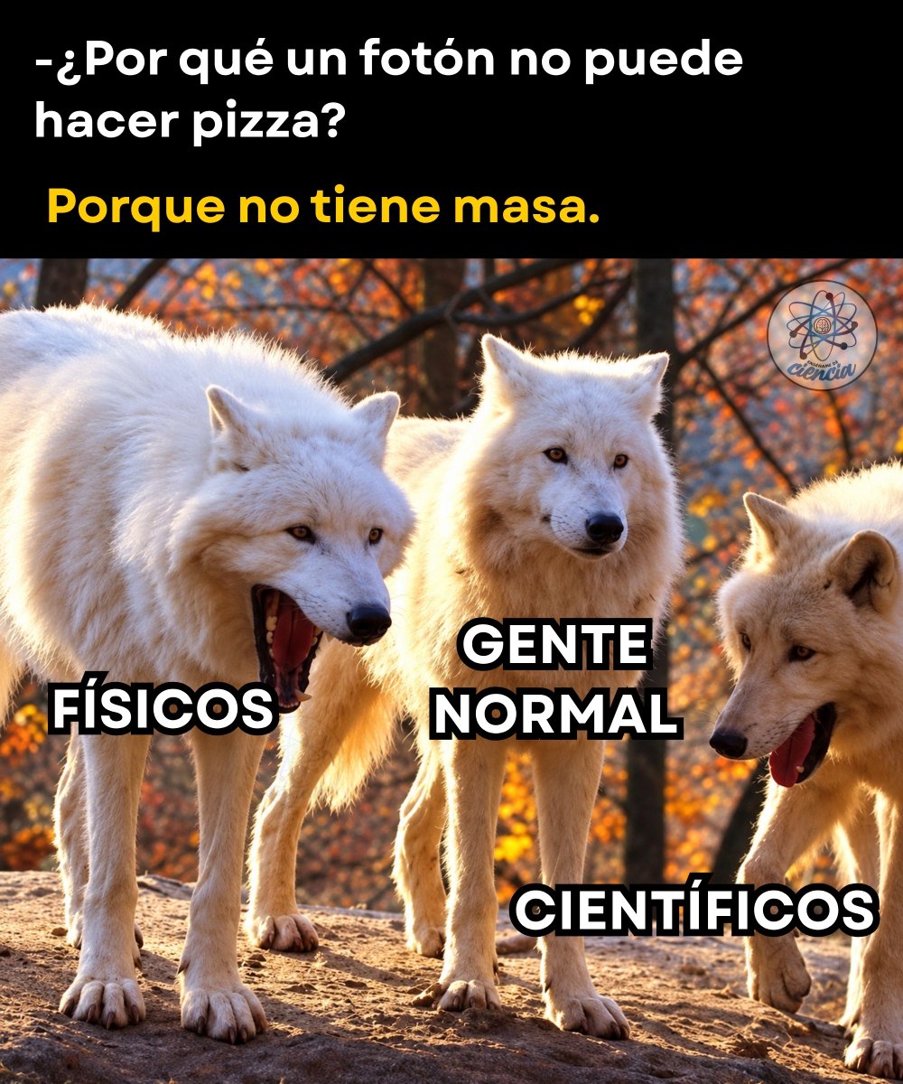 EnsedeCiencia's tweet photo. 🥸 https://t.co/mddkGKgTlL