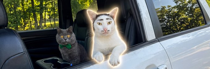 noahgreggaa's tweet photo. this has never ran before

the “state property” trend already has 21M+ views on tiktok

this cat started the trend of people making AI cat versions and now multiple videos are hitting millions of views

SPC = State Property Cat

https://t.co/92Wt0RHkp3 https://t.co/bhXubtLkM2