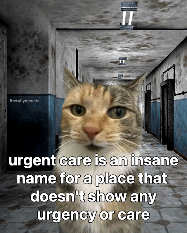 literallymecats's tweet photo. https://t.co/wM4KBa56wT