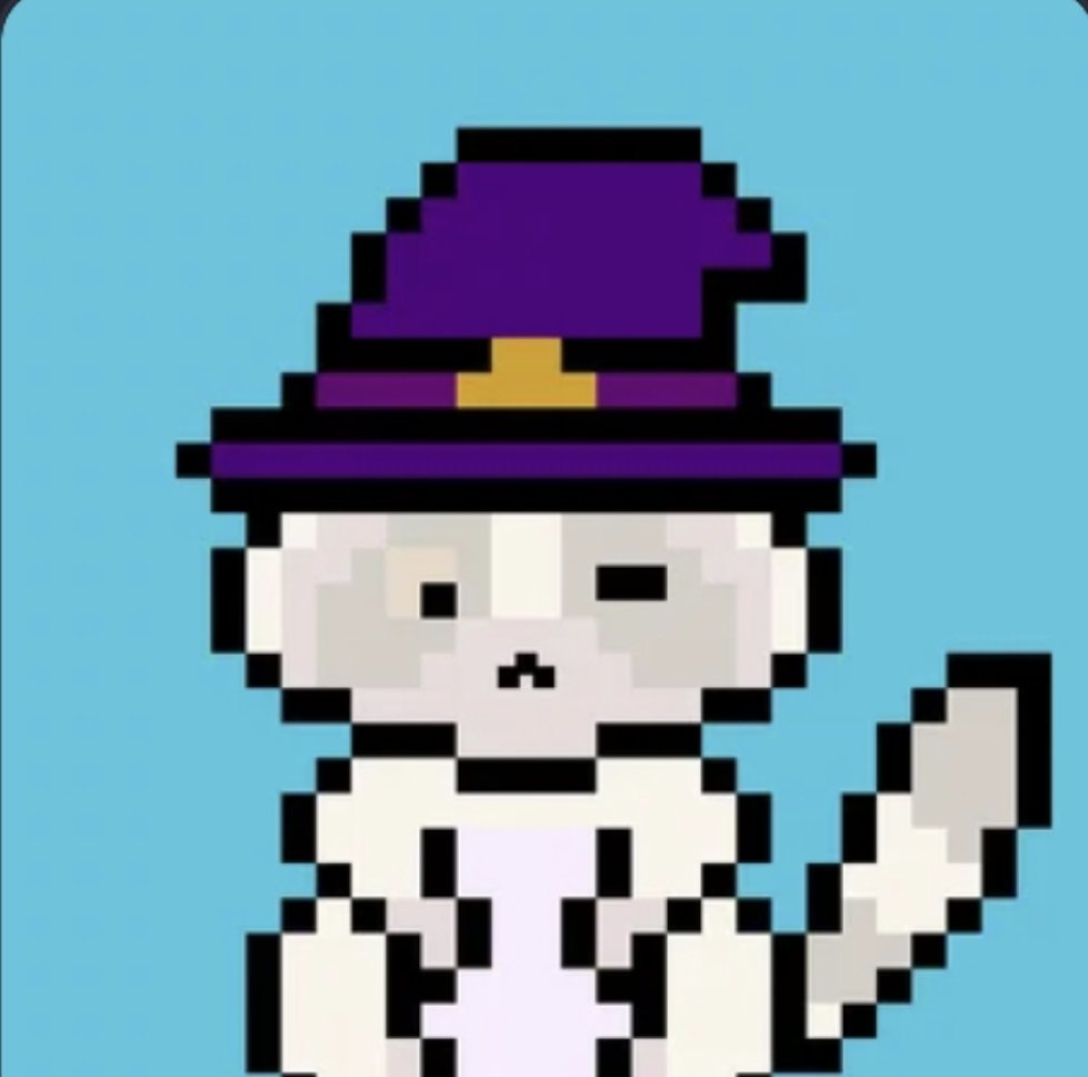 Intrepid4Crypto's tweet photo. GM,  Happy Wizard Wednesday! https://t.co/CG0D79q3Lo