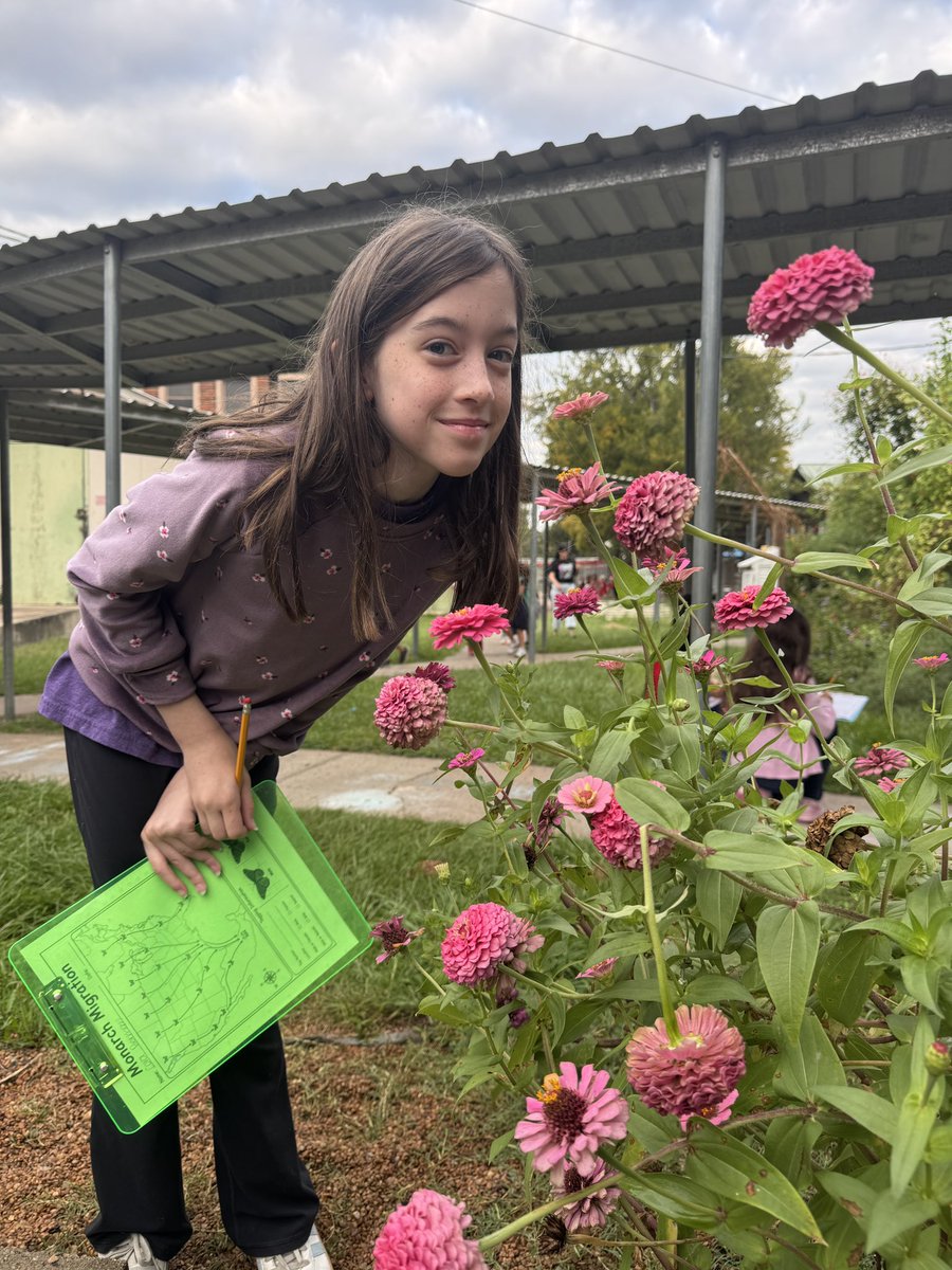 MsPaoliVegaRTGG's tweet photo. We’re having a fabulous garden day learning about monarch butterflies 🦋 and planting bluebonnet seeds 🪻We’re even making toad friends 🐸 @HelmsDLSchool @helenpatinoAP @WraparoundHelms @HoustonISD @readygrowgarden #gardenday #schoolgarden #elementaryscience https://t.co/zAYIvrtwsr