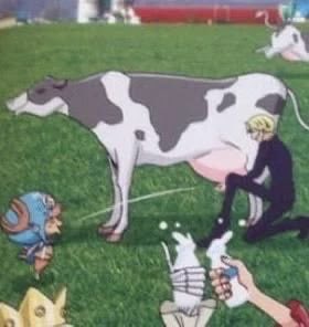 NoSleepBandit's tweet photo. scrolling through my camera roll and found this absolute gem https://t.co/5FumPzDSYL