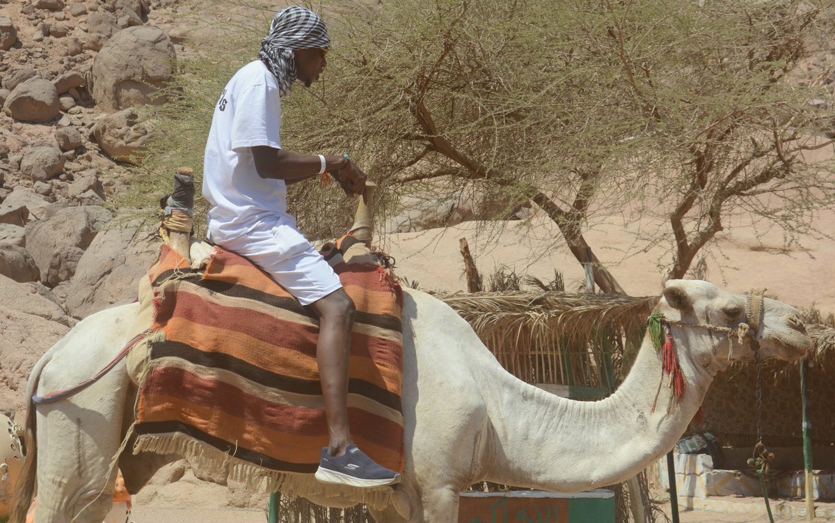 Earlyonthis's tweet photo. The Hot Sands from the Sahel Mountains ❤️🧿 https://t.co/zqY48b1Cce