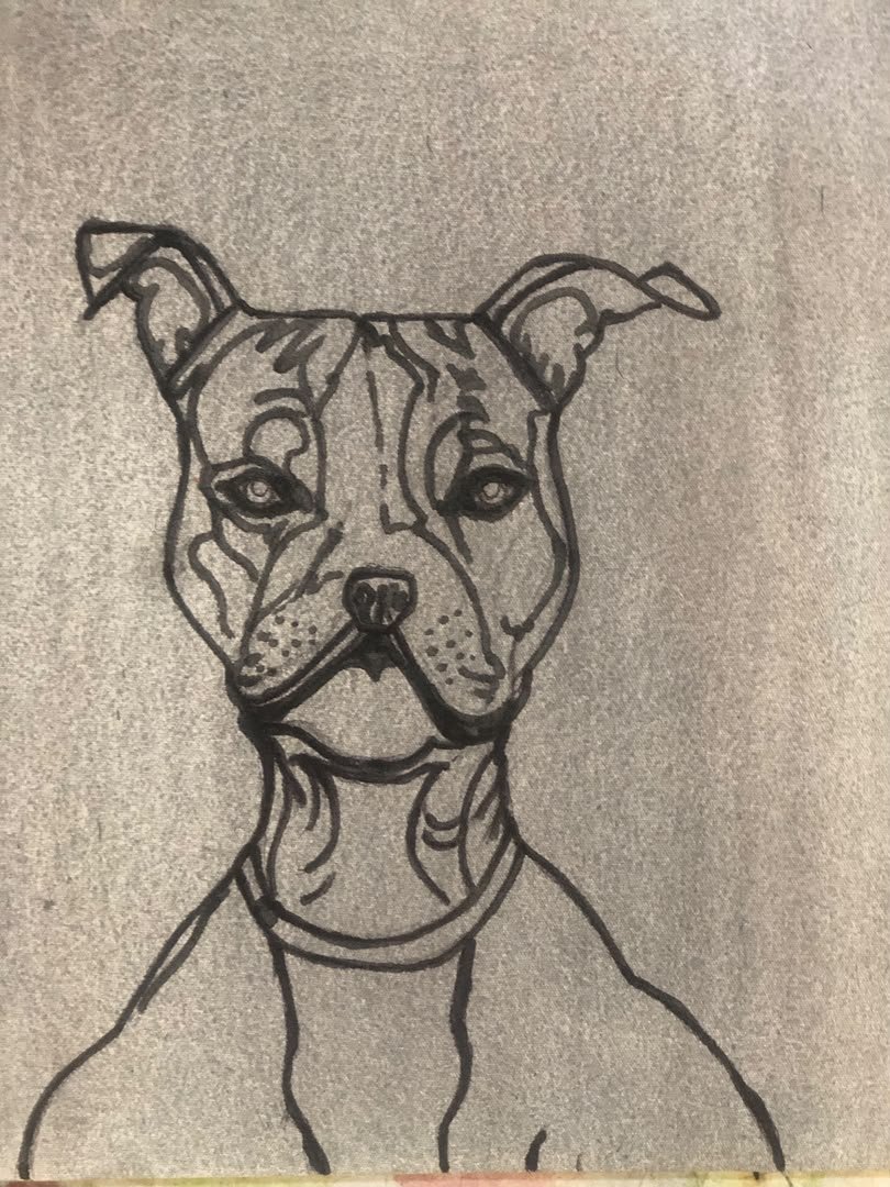 Emmanuelalexch4's tweet photo. Painted a small dog potrait today for my dog lovers❤️❤️. 

#art #paintings #oilpainting #dogart #dogoftheday https://t.co/xcnuxrQ0Ns