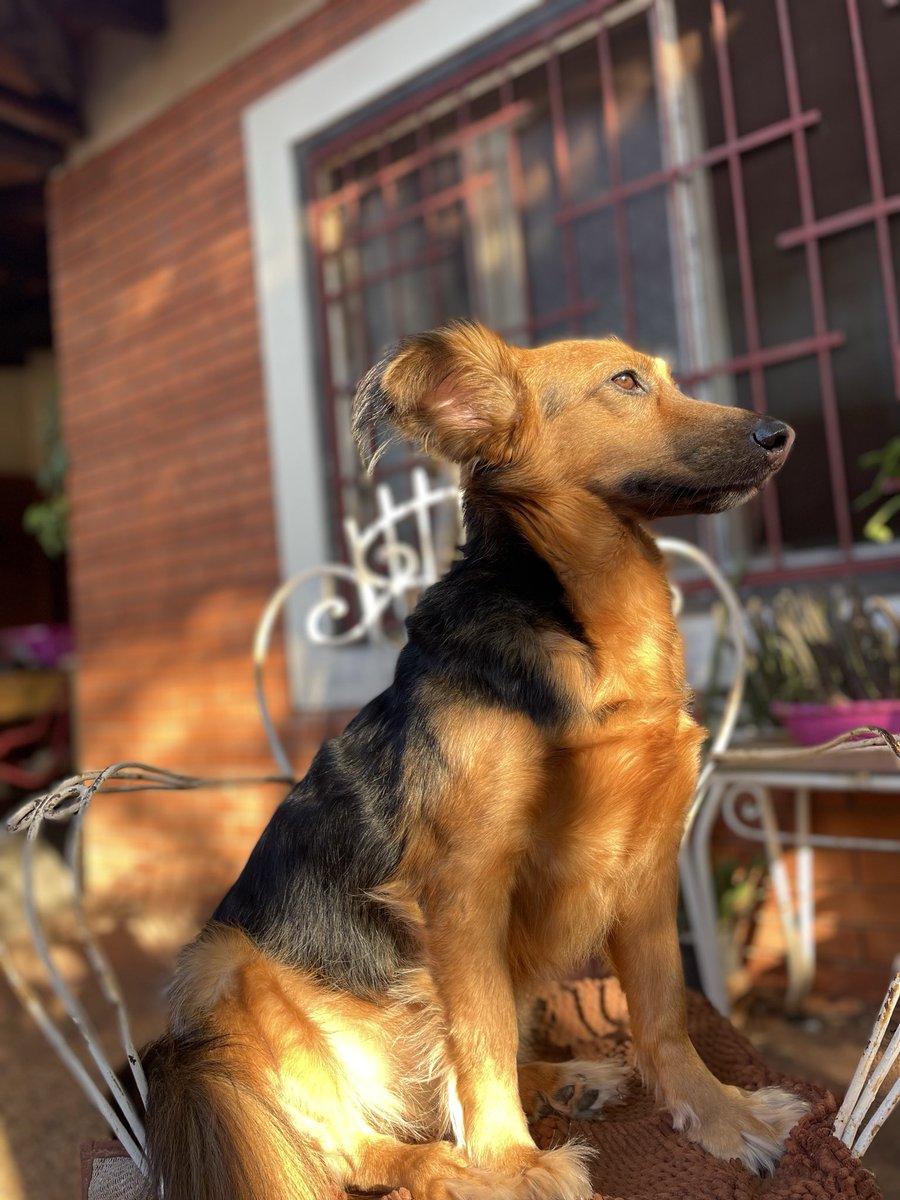 SueliDecoud's tweet photo. La última vez que escribí algo acá venía Prince y miren lo que es esta princesa bella hoy! Te amo mi cookieeee https://t.co/8PcLRYPNMe