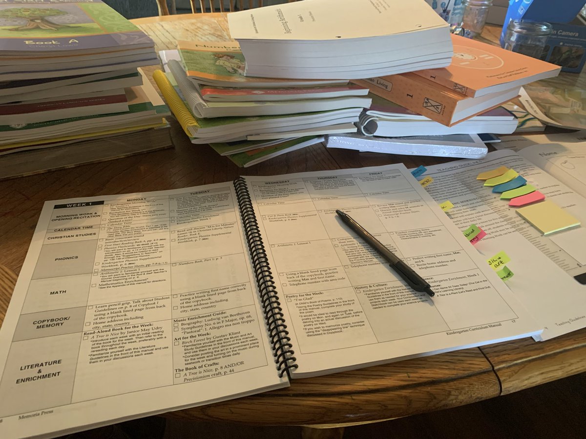 maternalgroyp's tweet photo. Guys …. My daughter’s kindergarten homeschool curriculum has 43 books (manuals, workbooks, etc) as a part of it……..I want to kms 

(no this doesn’t include the readaloud books that go with each days lesson either.) https://t.co/vxDC0SHwIw