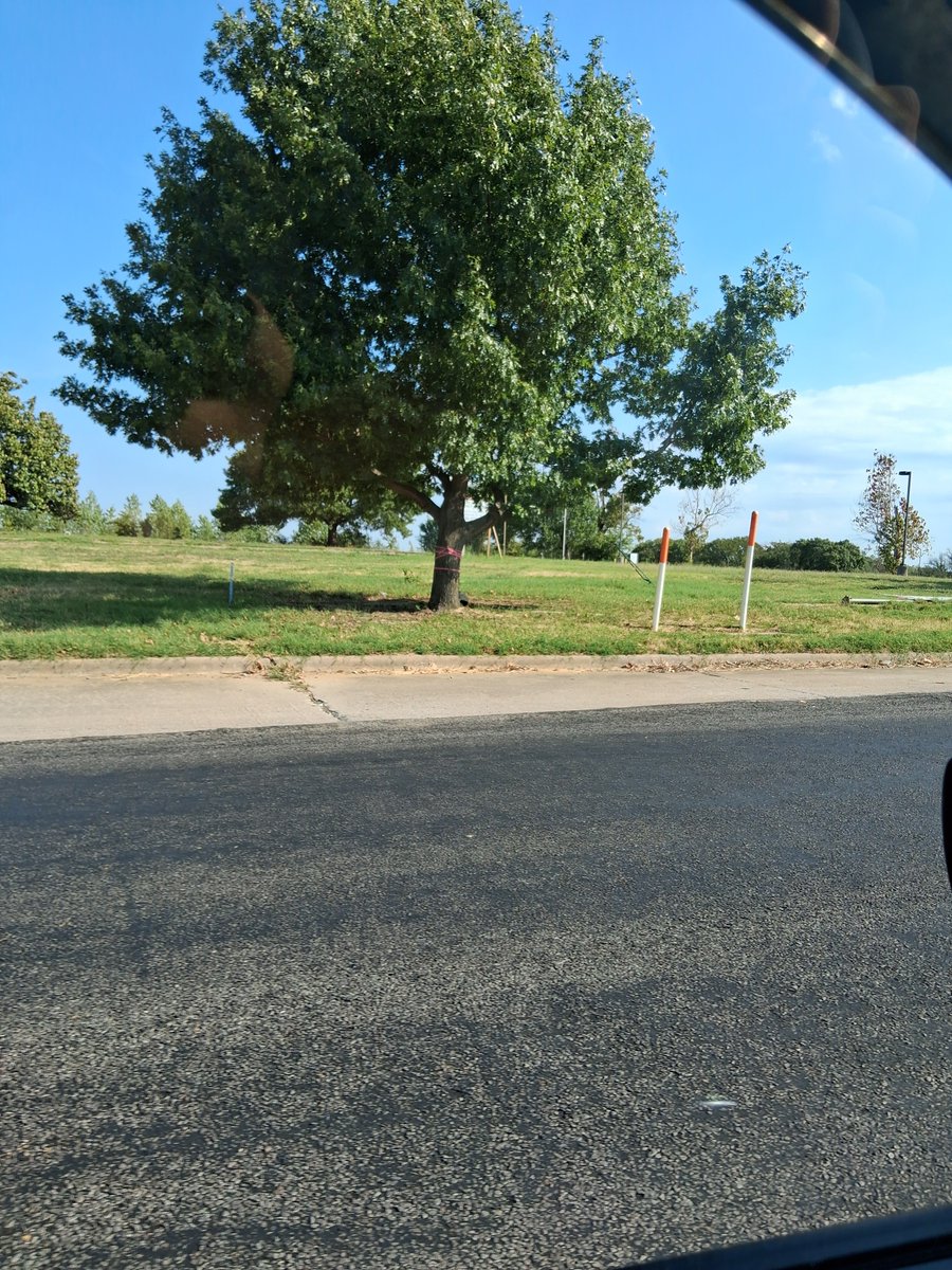 ateran565's tweet photo. Eastside hospital takin by the streets ? Denison Texas? https://t.co/r2ECBv3YM5
