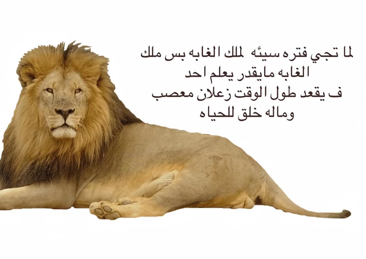 pronoouns's tweet photo. https://t.co/W8oA4LxujV
