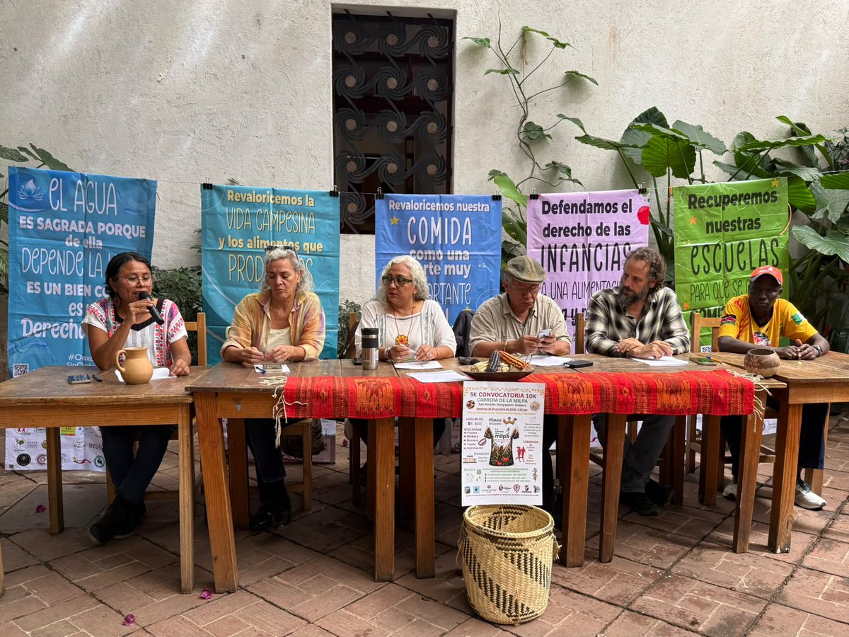 consorciooaxaca's tweet photo. 🔴#ConferenciaDePrensa | A SEIS AÑOS DE LA CAMPAÑA OAXACA SIN CHATARRA
Este 7 de octubre se cumplen seis años de que organizaciones de la sociedad civil iniciamos la campaña “Por el derecho a una alimentación sana y nutritiva: #OaxacaSinChatarra”
✊🏽¡Oaxaca, por un territorio libre de chatarra!
#comerespolítico #DerechoALaAlimentación #SoberaníaAlimentaria #JusticiaAlimentaria
📲En vivo: https://t.co/h75e91YHhU
@elpoderdelc @actuaporlasalud @EspiralAC @laminuta @CCalpulli @derechoinfancia @PinaPalmera @PuenteSalud @EspacioCivilOax @ClinicaPuebloAC @cchicatanas @canicadeoaxaca