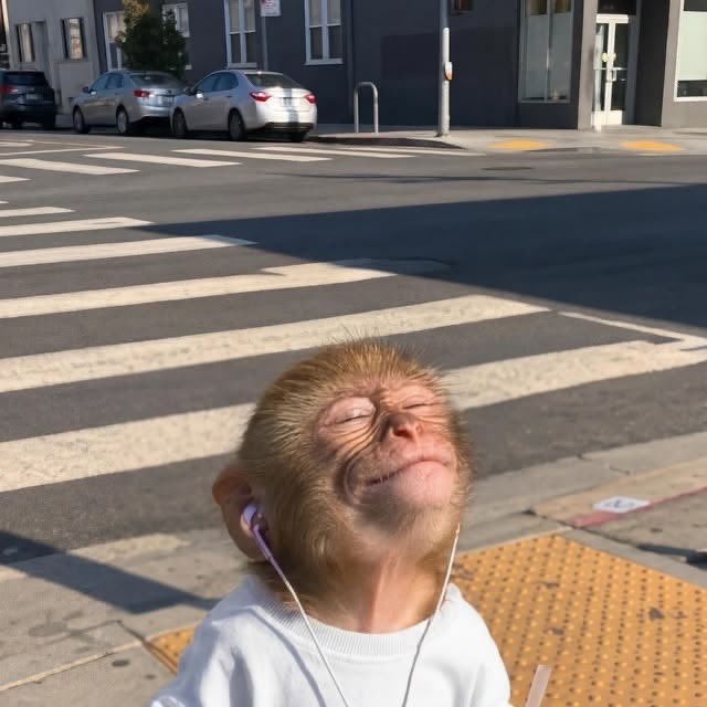 vsboomin's tweet photo. Juice wrld got me feeling like: https://t.co/BpTsBMeHFs