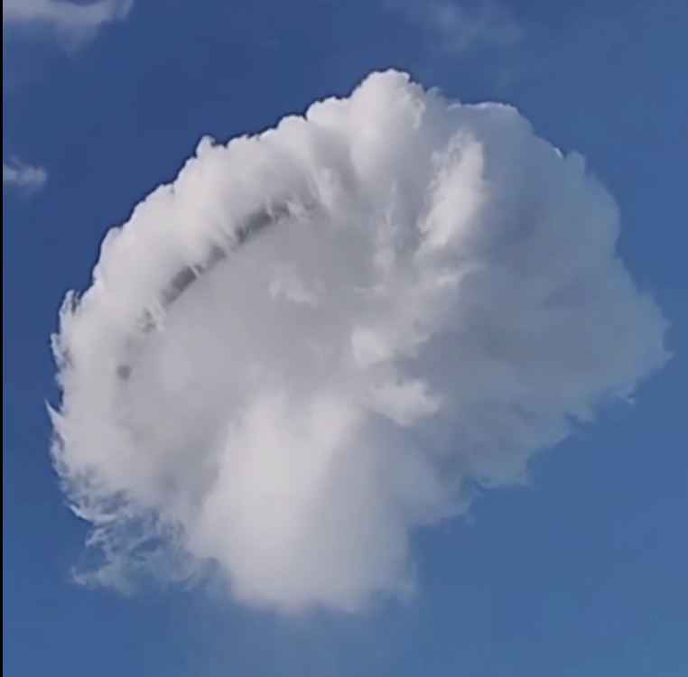 UAPWixy's tweet photo. 🚨People will say this is a cloud..

A massive object is seen with a cloud cloaking around it!! https://t.co/hukkPfbCbE