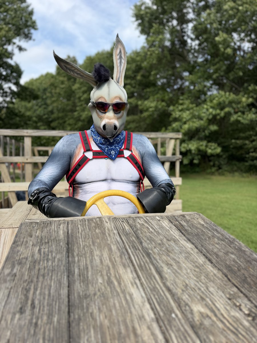 Bouncerthepup's tweet photo. It ain't much but it's honest work

#gearblast
📸: @dozerpup https://t.co/NEgVpbvlZD