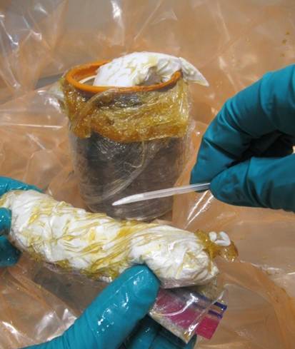 CBPLSSAC's tweet photo. Sweet success! 🍯 @CBP Laboratories & Scientific Services (LSS) intercepted a honey jar shipment destined for USA. 🔬➡️ Inside❓Cocaine! LSS works to keep dangerous drugs out of our communities! #DrugInterdiction @CBP #LabTesting #ScienceInAction #CBPOpsSpprt https://t.co/5aPsMWHGVI