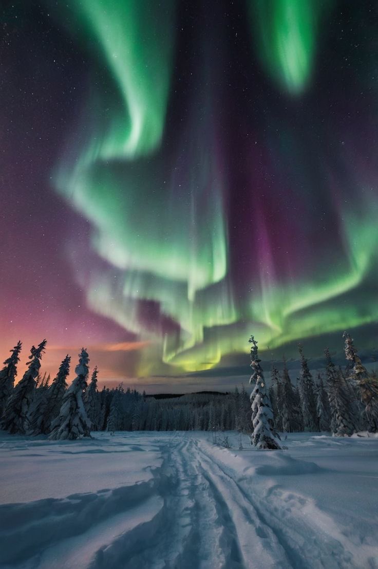 viewsoff's tweet photo. Lapland, Finland o https://t.co/UUj8AUFZHq