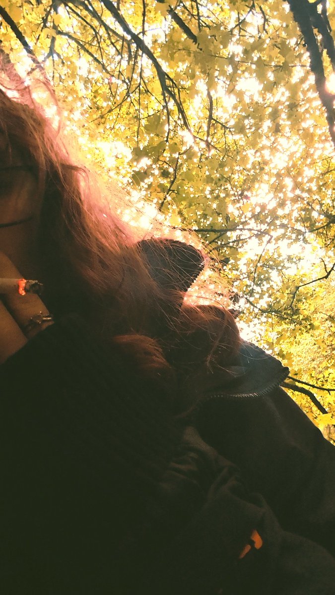 CocoaWhoops's tweet photo. Ciggy in the woods ❤️‍🩹 https://t.co/CesWv9bdXM