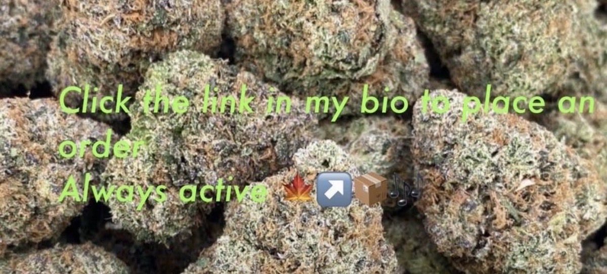 Merhababenaltar's tweet photo. #Paris 
Weed THC Hash Frozen DrySift Plug Paris Wax Carts Dab Disposable Vape WPFF Static Sift GHW Sahas THC edibles zaza cannabis marijuana ganja prerolls Resin Piatella plug Paris 

#Paris
#nufc
#Khalifakush
#poupettekenza
#dals https://t.co/rYgG1MYH3c