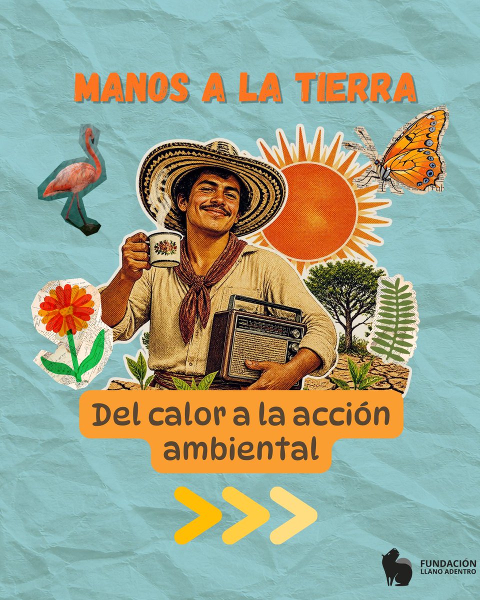 AdentroLlano's tweet photo. ☀️💧 Este jueves: 6am #GritoLlanero en 104.7FM Radio Rumbo (Soacha y Bogotá) habla de El Niño en Colombia, y 1pm #RoleandoALoVerde en https://t.co/Rj8wcSQyjb te invita al voluntariado ambiental 🌱 @alcaldiabogota @alcaldiasoacha #BibloRed #LlanoAdentro https://t.co/w5og0Dv9di