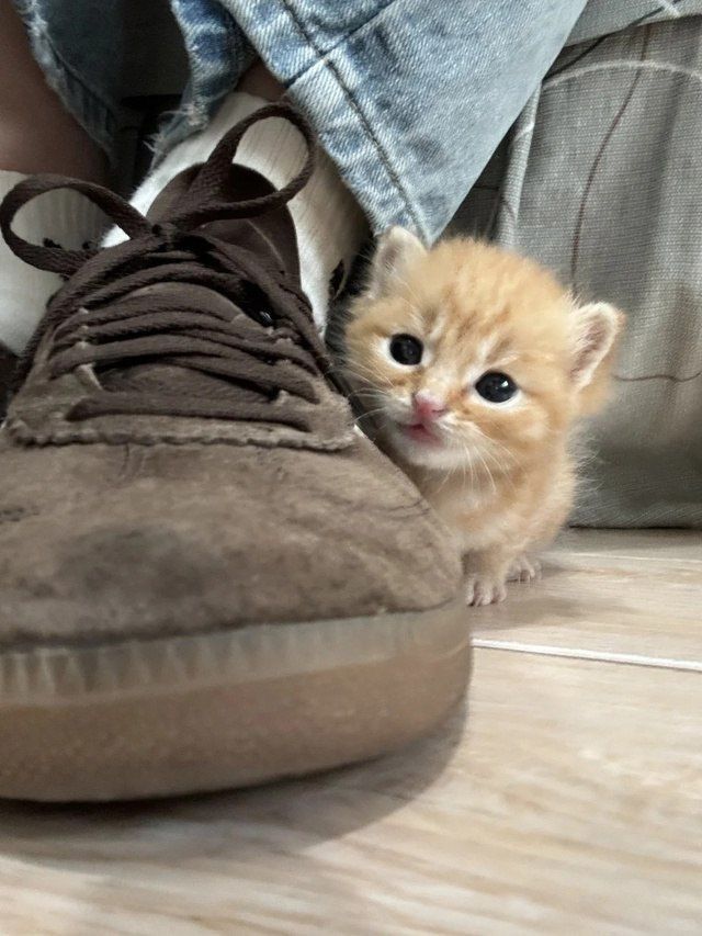 calmgloww's tweet photo. the cutest little surprise https://t.co/GzJpEO5gma