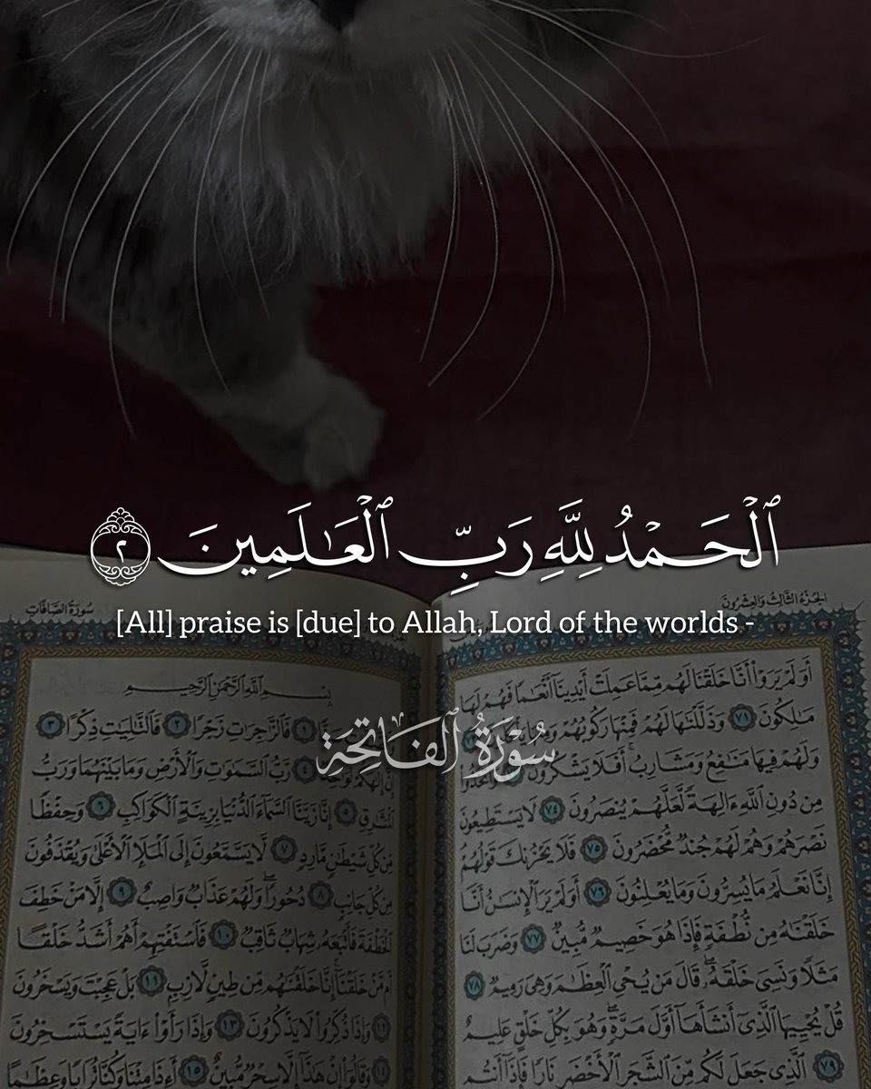 7signxx's tweet photo. Alhamdulillahi Rabbil Aalameen... https://t.co/BeDlPSFAV3