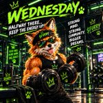 Photo by $FURRY (@FurryFridayCoin)