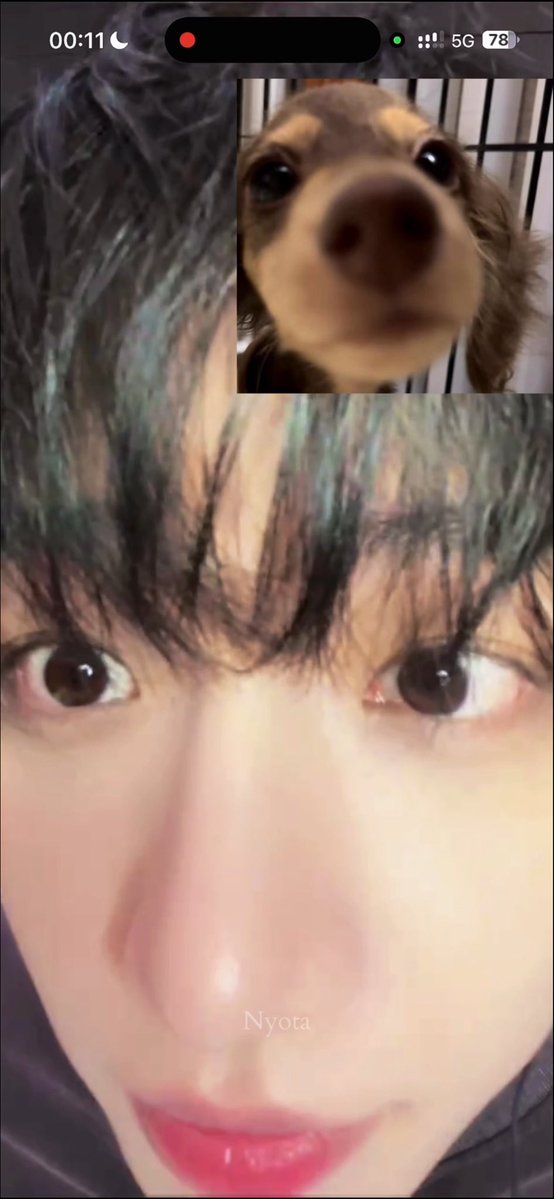 ilysmyungz's tweet photo. 띵스훈트 🐶 ㅠㅠ jaehyun copying the cute dachshund puppy photos 
cr. Nyota_nyx on xhs https://t.co/mI6uIBc1kL