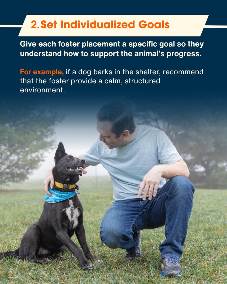 ASPCAPro's tweet photo. GIVE ANIMALS WHAT THEY NEED TO HELP THEM SUCCEED! As part of #TheRescueEffect, Dr. Workman of the @ASPCA recommends giving resources and individualized support to foster families. Working together, we save more lives. That's The Rescue Effect! https://t.co/dz44tYpaHH https://t.co/5P4CLlmWYv