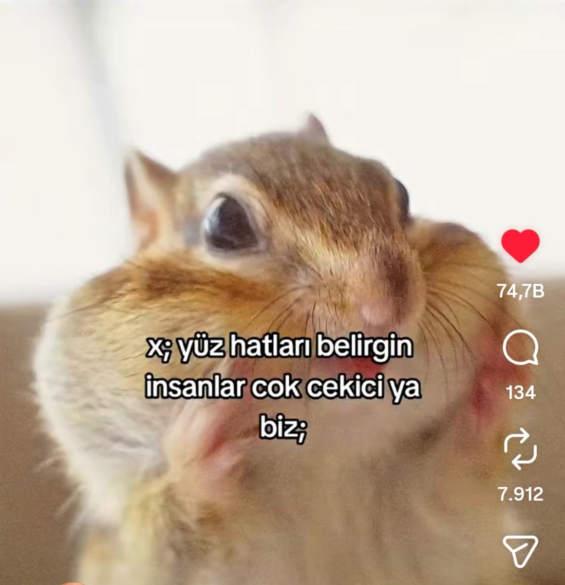 goddessofartx's tweet photo. güncel sislik https://t.co/54EpMFgkN2