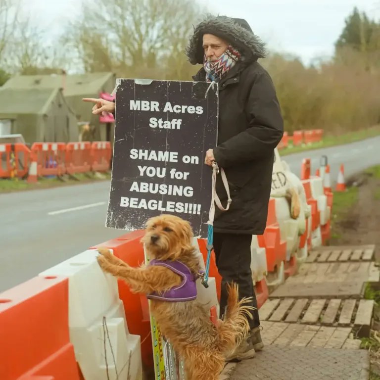 alexpunx1977's tweet photo. John Curtin is a comrade who has been fighting for animal liberation since the 1980s. A few days ago, he was arrested by the police for fighting for the most defenseless at #CampBeagle  Solidarity!
@TheCampBeagle_ https://t.co/0UnS0vX2To