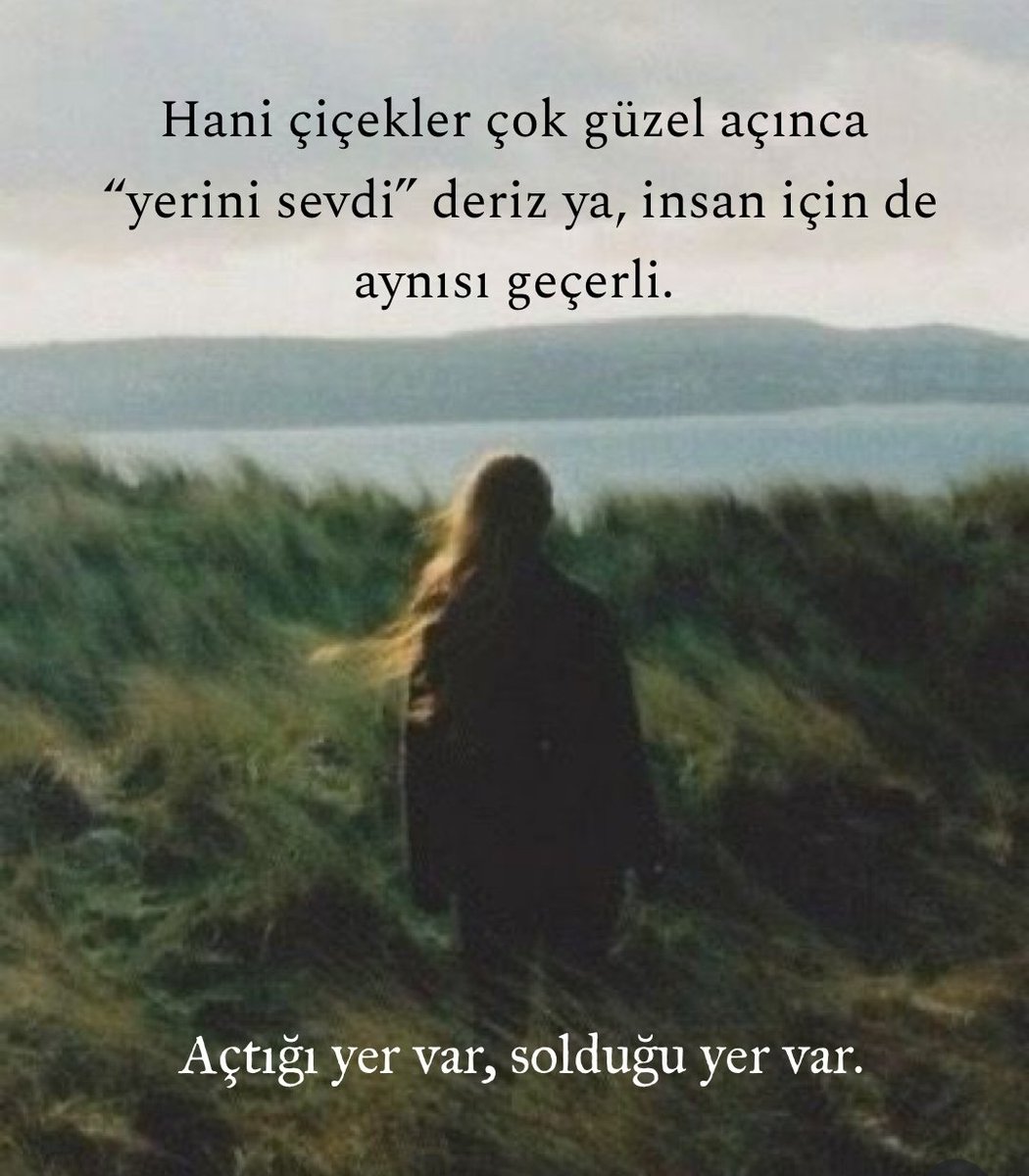 duyguarden's tweet photo. 🦋🍀 https://t.co/iZvPcXVLC1