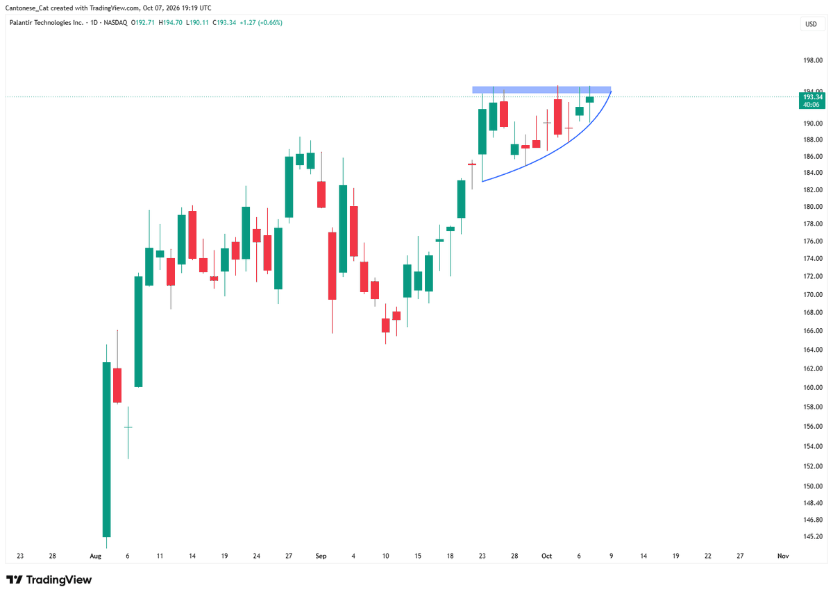 cantonmeow's tweet photo. $PLTR daily https://t.co/v4roAa1fXr
