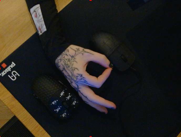 Wyxcs666's tweet photo. my hoes >.< https://t.co/Ehij3bM0A0