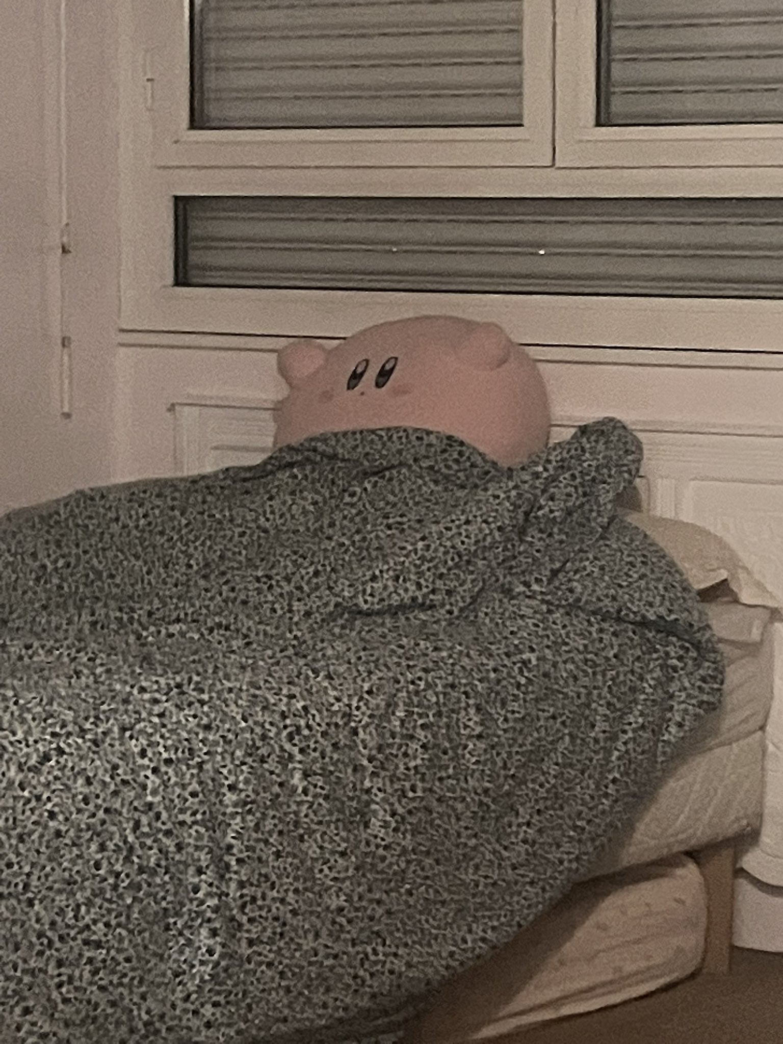 https://pbs.twimg.com/media/HUDRCkLWAAAwbng.jpg