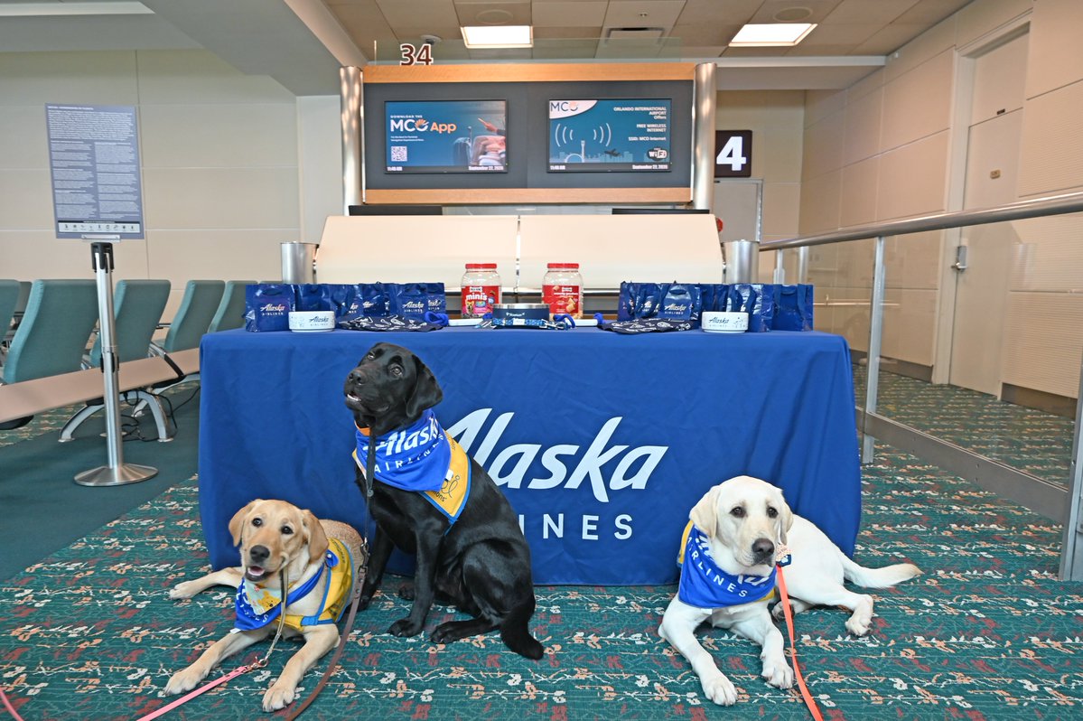 MCO's tweet photo. Pawsengers in Training 🐾✈️ Our friends at @AlaskaAir recently hosted a mock flight in partnership with @canineorg, giving future service dogs the opportunity to practice their airport manners and become comfortable navigating the airport environment. https://t.co/J1ttNnWUkf