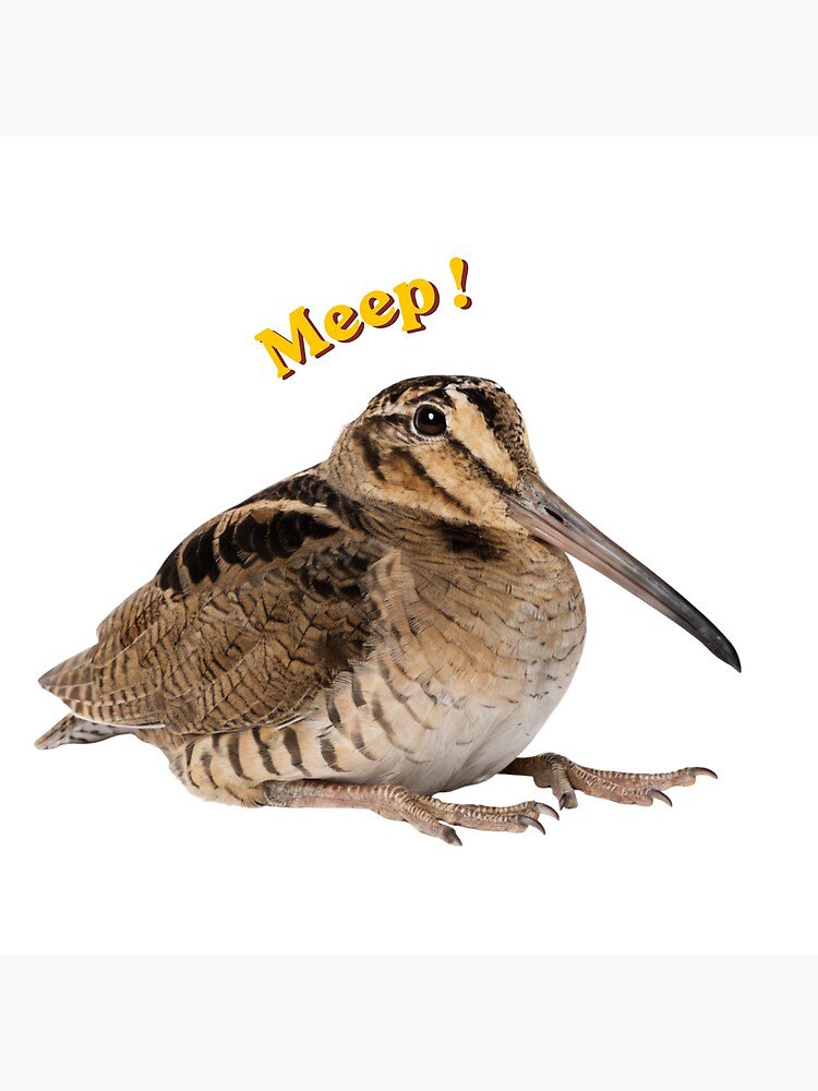 Clemclem4664's tweet photo. Avec ma femme @galettent on invente plein d’expression en ce moment #mimi et l’une qu’on adore utiliser depuis hier c’est the eepermeeper parce qu’on adore ce petit oiseau et on est des eepers 
N’hésitez pas à utiliser cette expression trop cute https://t.co/61vPH6BR2T
