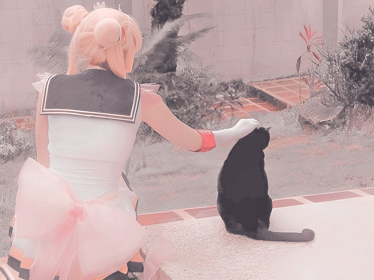 usakitoo's tweet photo. ㅤ

ㅤ𝓔lla y su fiel compañera gatuna , la pequeña
ㅤ𝓛꯭un꯭a.

ㅤ https://t.co/CTKfi0sG0X