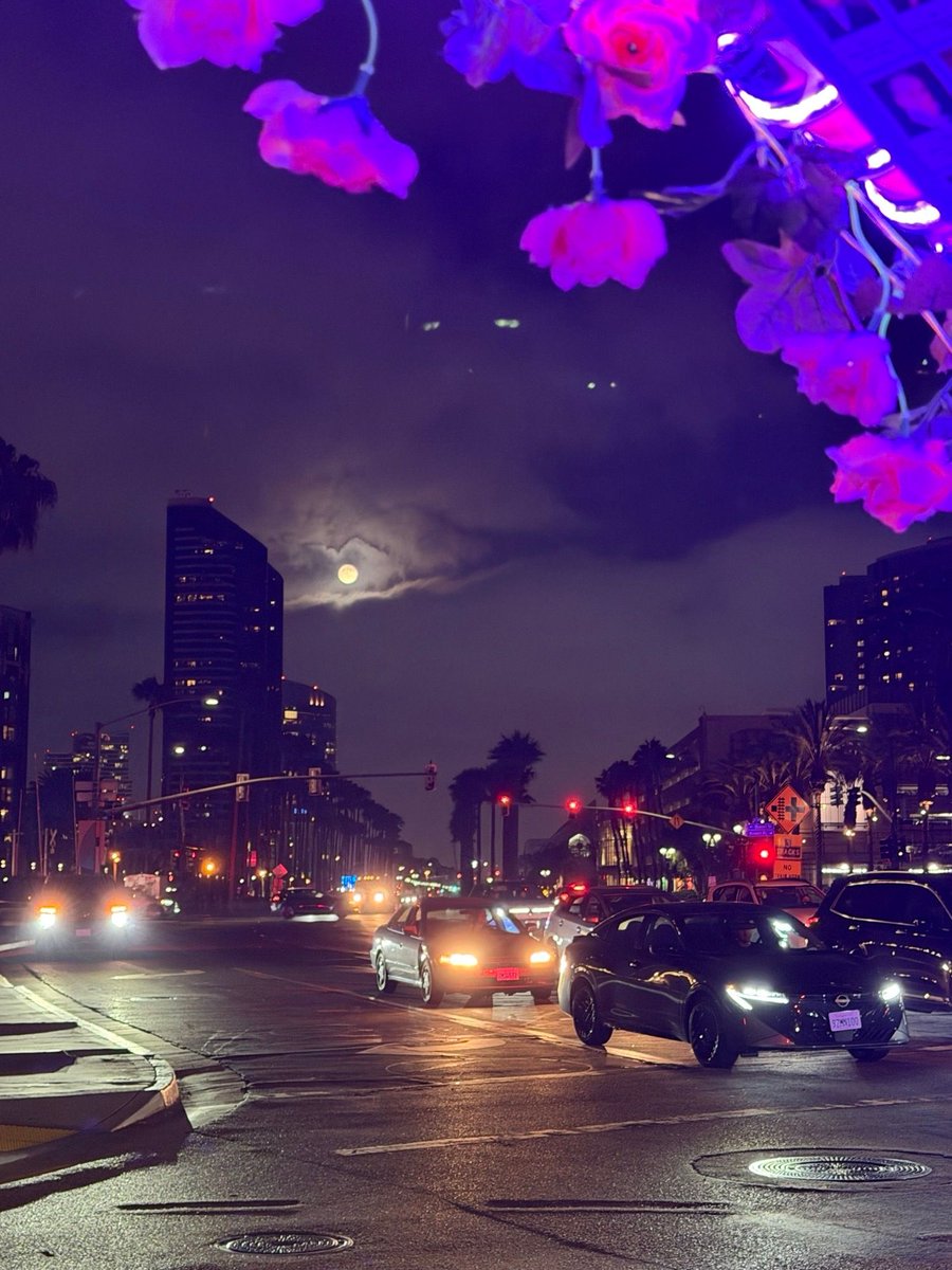 mmsmoa's tweet photo. Here’s a night view of beautiful San Diego. If you’re attending #MMSMidway in just over 2 weeks, you’re in for a treat. If you’re having FOMO, then get your tickets now and join us there!

Register ASAP:
https://t.co/DUUXRA4WpO 
October 25-28

#MMSMOA #SanDiego #ITpros #MSIntune https://t.co/H2yGRQ5TYT