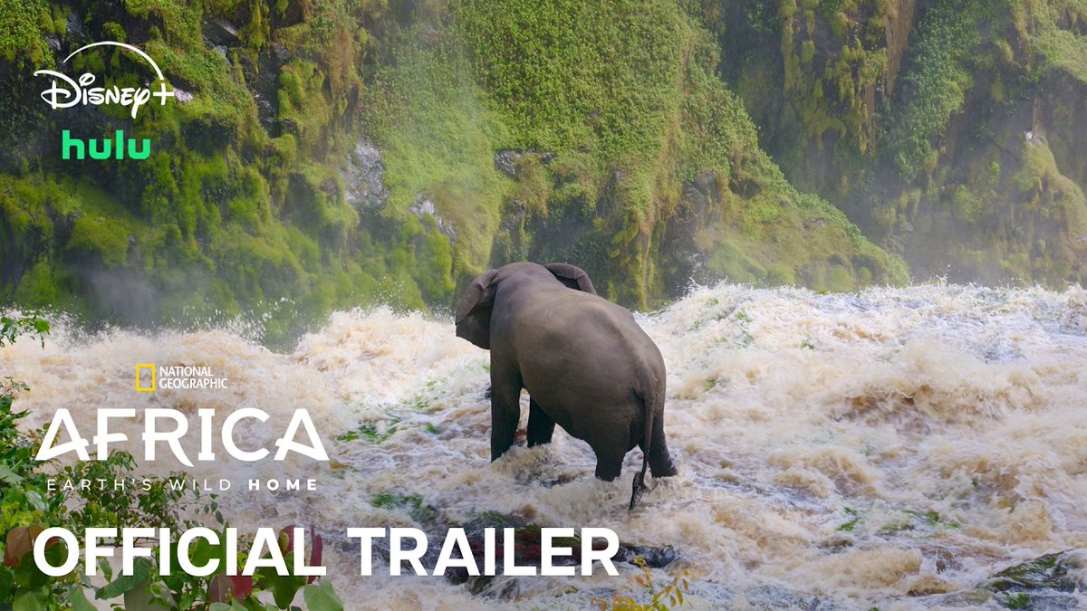 RED_Cinema's tweet photo. Now streaming on Disney+ and Hulu, 'Africa: Earth’s Wild Home' takes viewers across the continent to experience its wildlife and landscapes. #ShotonRED using the V-RAPTOR S35 and V-RAPTOR [X].

https://t.co/OPezV3aNDp

Camera team: Alasdair Grubb, Alex Cooke, Augusto Bila, Barny Trevelyan-Johnson, Ben Hardman, Benjamin Sadd, Berenice Mathieu, Bernt Bruns, Brendan Easton, Bruno D'Amicis, Charles Agengo, Charlie Stoddart, Clement Kiragu, Chris Watts, Dale Hudson, Dave Mothershaw, David Eastaugh, Dominic Hamilton, George Woodcock, Gislain Ishimwe, Graham Hatherley, Jack Hynes, Jack Johnston, Jack Richardson, James Aldred, James Loudon, Janado Cher, Jeff Mulungo, Jo Charlesworth, Joe Gray, Johann Vorster, John Aitchison, Josh Tarr, Julie Moniere, Julian Lalinde Martinez, Julian Oburu, Julius Brighton, Kevin Flay, Kevin Zaouli, Louis Labrom-Brown, Luke Cormack, Luke Nelson, Mark MacEwen, Mark Payne-Gill, Mark Yates, Max Hug Williams, Mike Holding, Mike Olbinski, Miguel Willis, Milena Fracchia, Muhammad Atta, Nathan Pilcher, Neil Anderson, Neil Fairlie, Neil Goodchild, Nicole Henning, Nick Widdop, Nuno Sa, Oliver Halsey, Pete Cayless, Pete McCowen, Piers Leigh, Raymond Besant, Richard Kirby, Robin Cox, Rodgers C Gold, Ryan Deboodt, Sam Lewis, Scott Abraham, Simona Susnea, Stefan Van Zyl, Stuart Dunn, Stuart Trowell, Sue Gibson, Ted Giffords, Temujin Johnson, Tom Rowland, Todd Kewley, Tim Shepherd, Warren Samuels, Wrightwel Nyirenda, Yasine El Mansour.