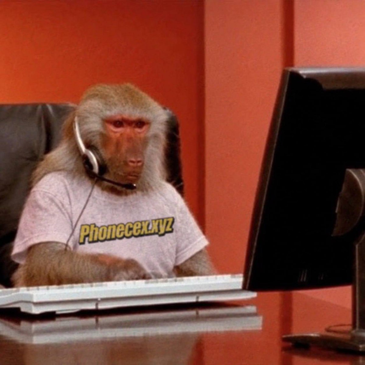 1800PhoneCex's tweet photo. Onboarding has started, one by one. https://t.co/eID3iauBSW