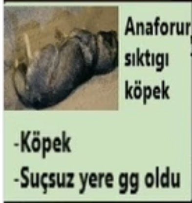 RenN0bby's tweet photo. @MindsetGOx Direkt elendik https://t.co/KvTFXyxtRq