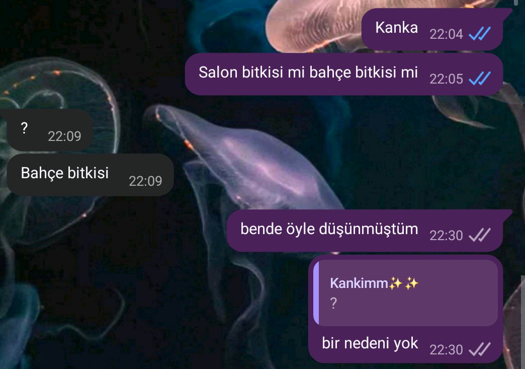 yksninYsi's tweet photo. benden herhangi bir soru https://t.co/ohqSdBVKd7