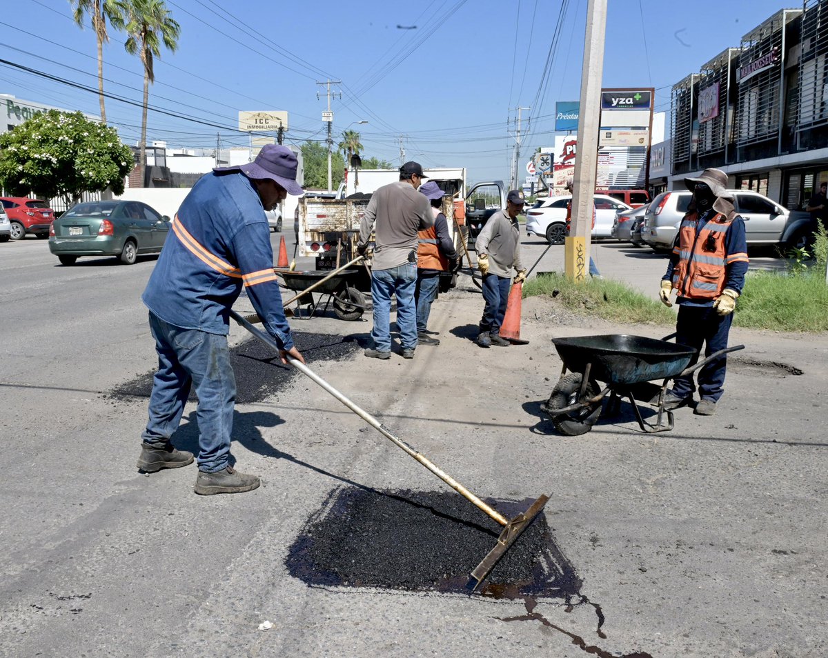 tonoastiazaran's tweet photo. ¡Redoblando esfuerzos para mejorar nuestras calles! 🚧

Aumentamos el número de cuadrillas de bacheo para avanzar más rápido, dando prioridad a las vialidades principales de Hermosillo. La meta este año es atender 1 millón de m², lo equivalente a todo lo que hicimos en los tres años anteriores juntos.

¡Seguimos avanzando con más trabajo en nuestras vialidades! 🙌🏼