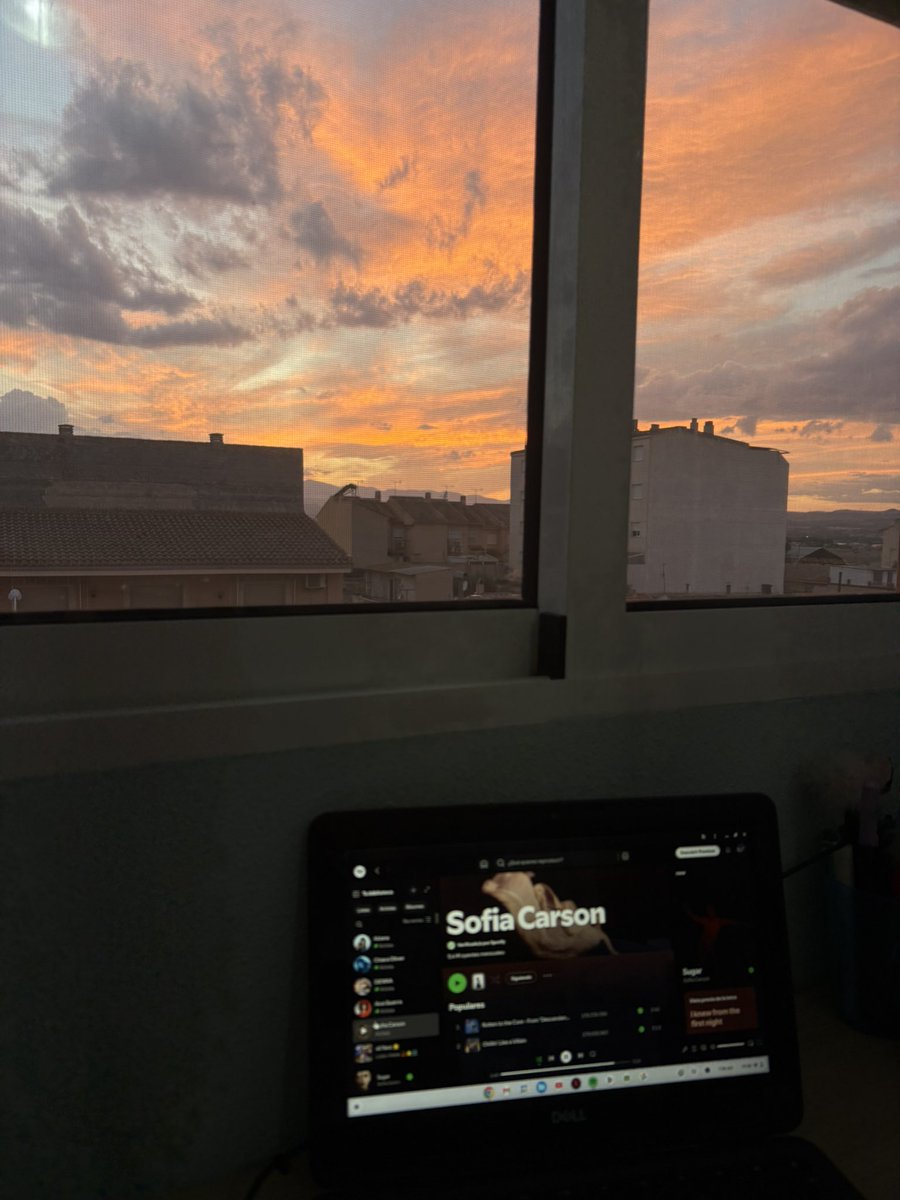 irenexsofia's tweet photo. listening to sofia carson with this sunset in the background was just too beautiful🥹💘 https://t.co/vwo6rlz88H