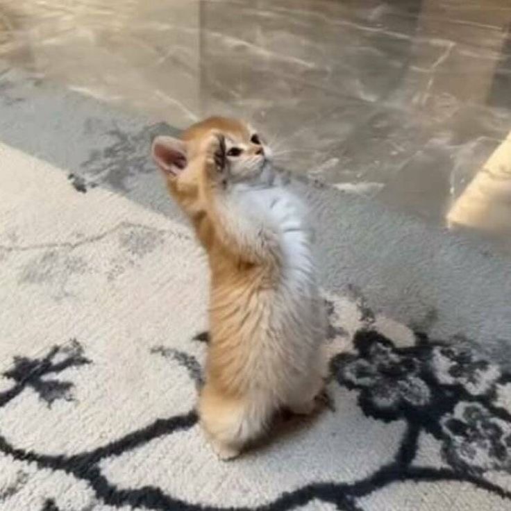 jaredccohen's tweet photo. watching your founders leave for the board meeting https://t.co/Ftg7DK5k9A
