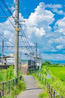 Tom80465331's tweet photo. 今日は仕事が休みだったので、父の望む買い物に行き、ピアノを弾き、友人に会い、明日の夕飯の準備をし、読書をし、、と、やりたいことは全部できた。
読んでいた本がやっと面白くなってきた。最初の方の動きがゆっくりなところも登場人物や背景を知るためになくてはならないところ。 https://t.co/7GvbG81Ss9