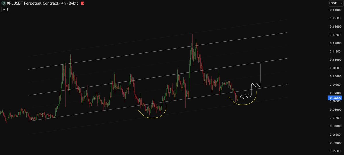 Laznus's tweet photo. $XPL https://t.co/GGeEQkfU1t