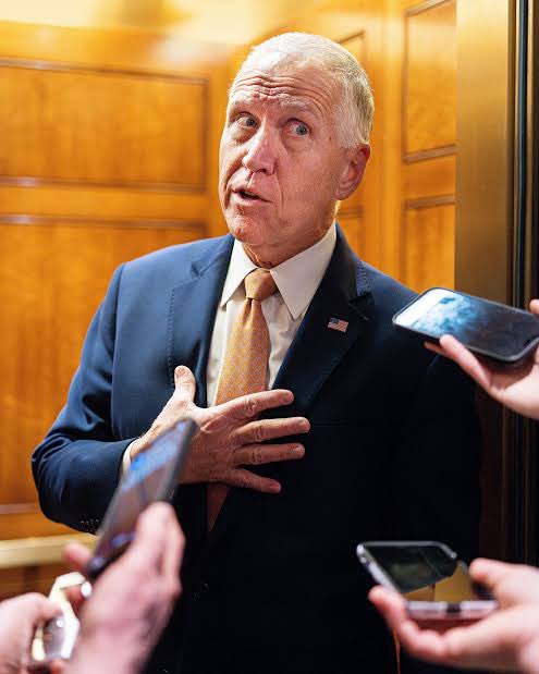 Milajoy's tweet photo. Thom Tillis says the next Republican nominee CAN'T be MAGA.

77 million of us voted for Trump. 

We knocked doors. 

We gave up weekends. 

We stood in line for hours.

And a retiring senator with a book to sell thinks he gets to tell us we don't belong in our own party?

Be serious.

We built this. 

We're not going anywhere. 🇺🇸