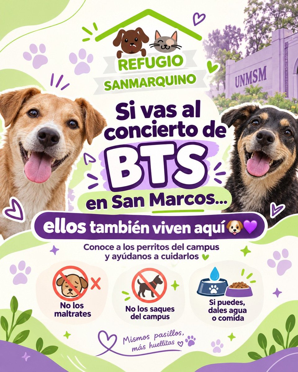 RSanmarquino's tweet photo. 💜🐾 Si vas al concierto de BTS, recuerda que el campus también es hogar d muchos 🐶🐈.
Durante esos días habrá + ruido y personas de lo habitual. Algunos 🐶 pueden acercarse o permanecer en las zonas donde suelen estar, mientras que los 🐈 probablemente se esconderán x el ruido. https://t.co/CpWSmZmzuQ