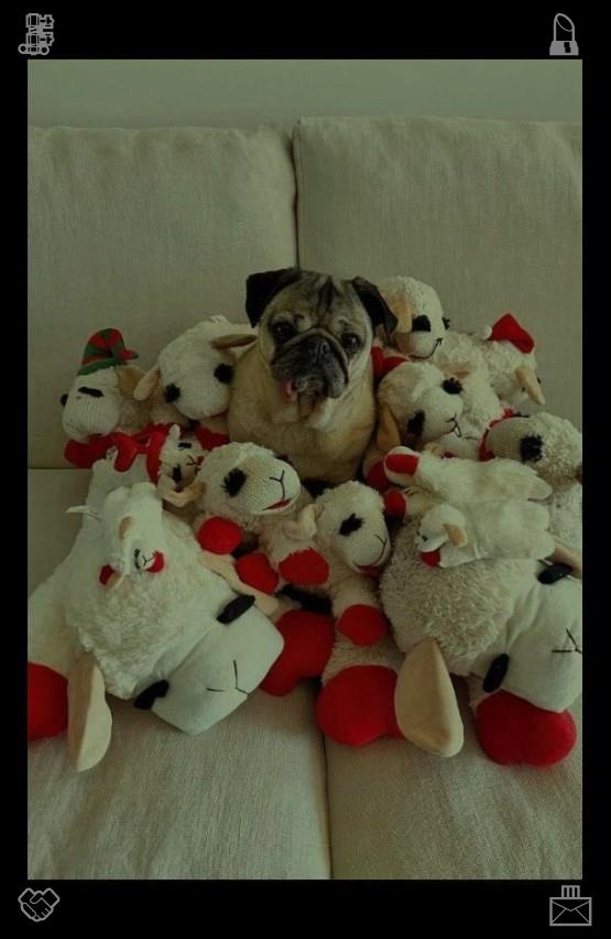 jadeeperrie tweet picture